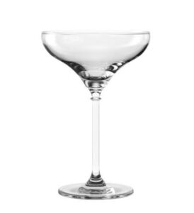 Palette Martini Glass | 200ml *Autumn Special