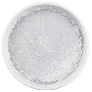 Round Plate | Willow 200mm