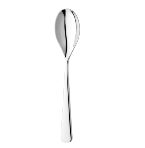 Karri Serving Spoon