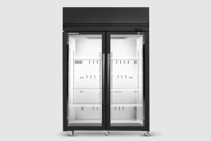 ActiveCore Freezer Upright 2 Door | Black